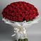 Букет 101 Красная роза Блэк Мэджик в Правдинске