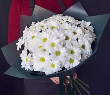 Букет цветов из:  Хризантемы #REPLACE_PRED# Правдинске