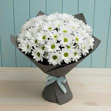 Букет цветов из:  Хризантемы в Правдинске