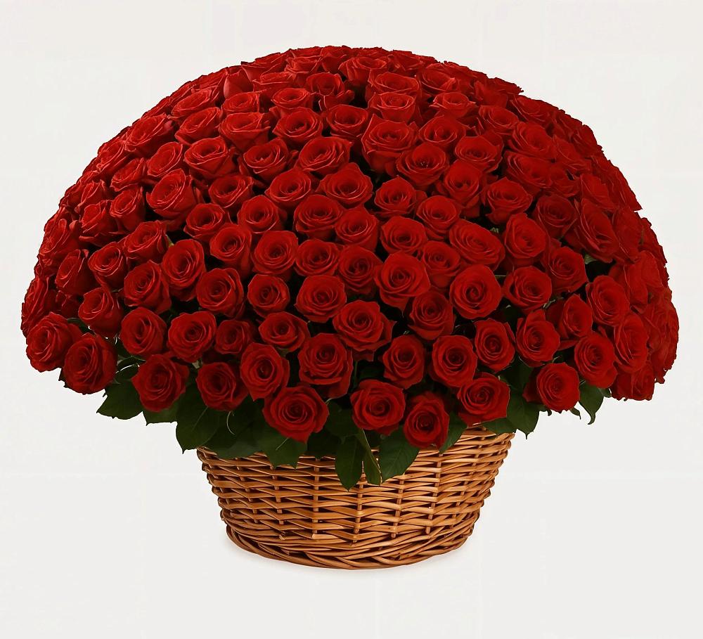 Премиум букет из: Розы в Правдинске