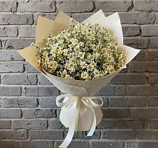 Букет цветов из:  Ромашки в Правдинске