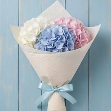 Букет цветов из:  Гортензия #REPLACE_PRED# Правдинске