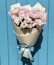 Букет цветов из:  Хризантемы #REPLACE_PRED# Правдинске