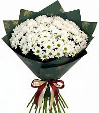 Букет цветов из:  Хризантемы #REPLACE_PRED# Правдинске