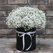 Цветочная композиция из Гипсофила в шляпной коробке в Правдинске