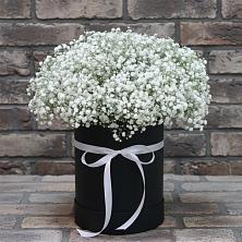 Цветочная композиция из Гипсофила в шляпной коробке в Правдинске